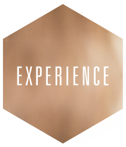 vld-experience